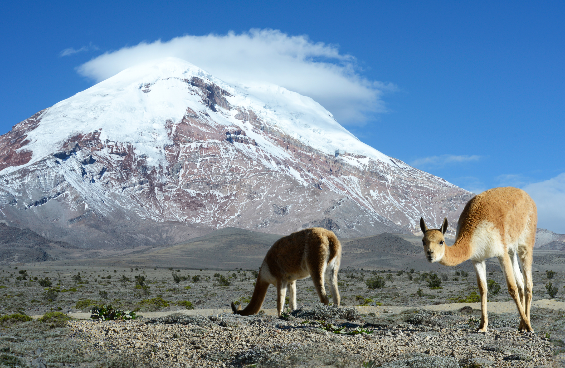 Proyecto: 145 Sistemas de Filtrado en Chimborazo