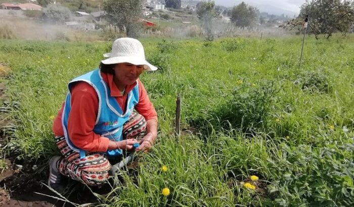 riego-provincias-ecuador-700×409